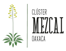 Clúster Mezcal Oaxaca